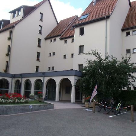 Ferienwohnung L'Ecureuil Munster  Exterior foto